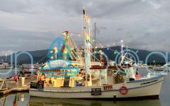 Boats and Yachts for Sale in Cairns